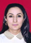 Fayl:P1dshnns511udh5thpo1b5s116h4.jpg