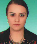 Fayl:P18tjhld2qp517b930a10ddq294.jpg