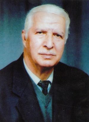 P1987tnugrrcs1ral1ph41e9gls4.jpg