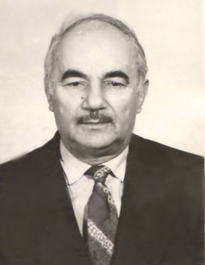 P1ca2dvndi1km81iuc16hh1kog1n384.jpg